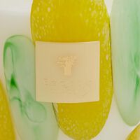 baobab collection riviera santo sospir candle max 16