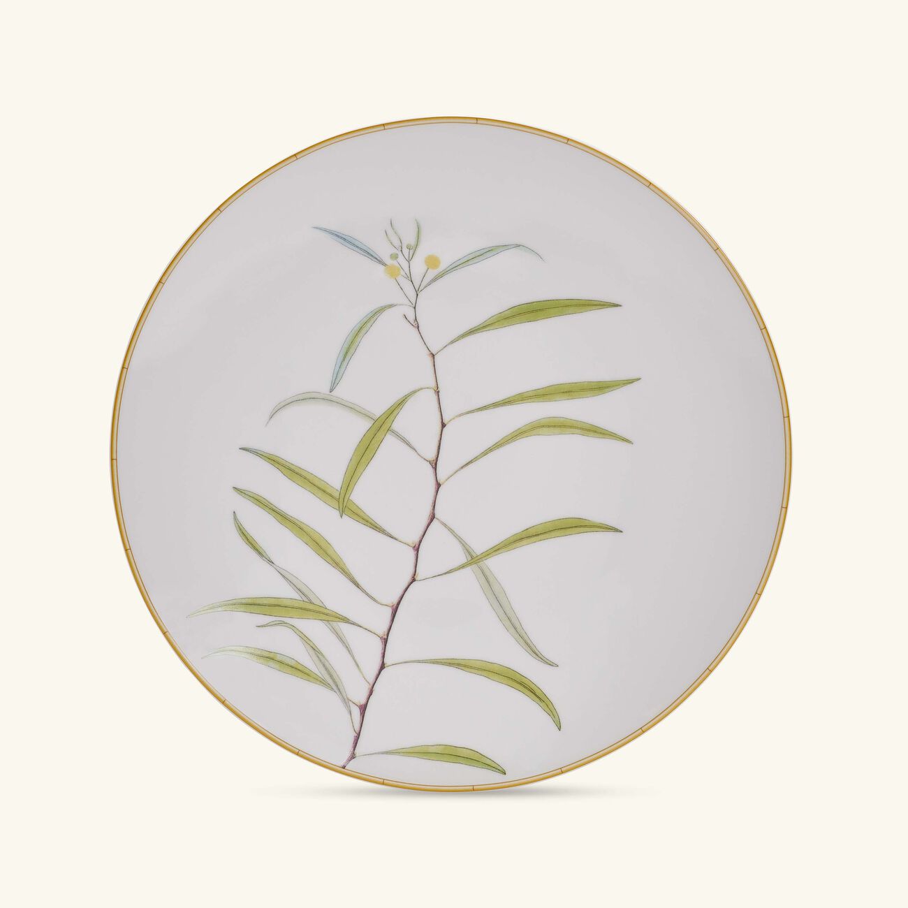bernardaud jardin indien dinner plate round white 27cm