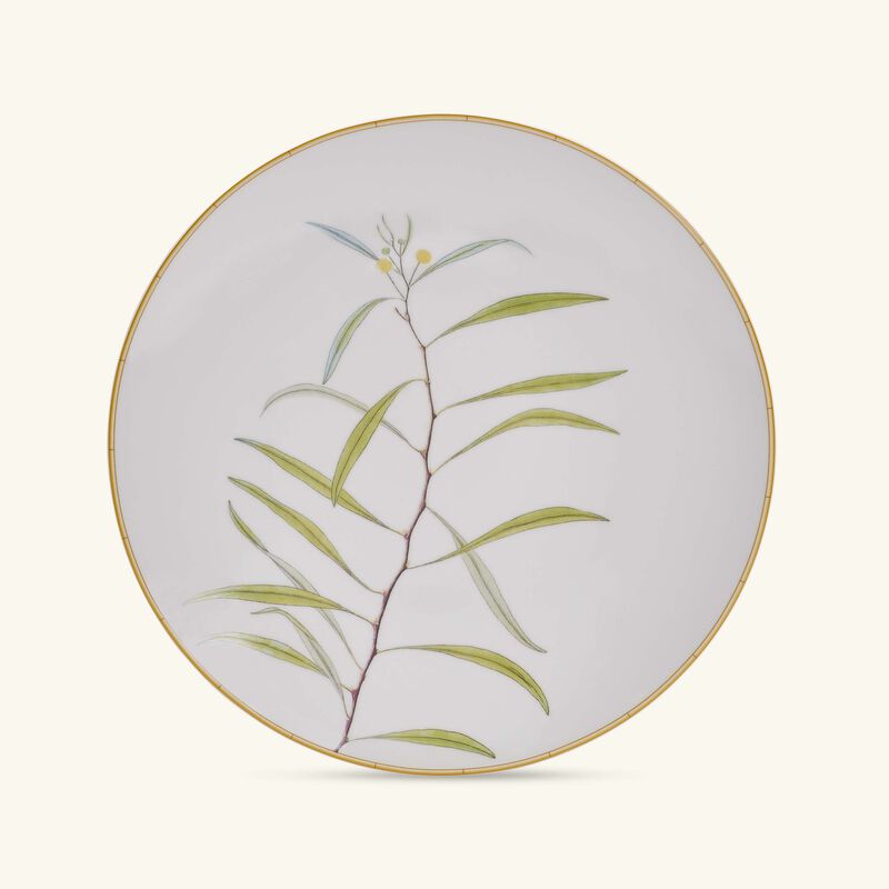 bernardaud jardin indien dinner plate round white 27cm
