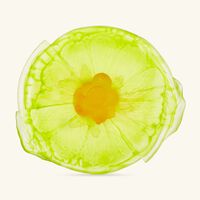 daum citrus centerpiece yellow limited edition