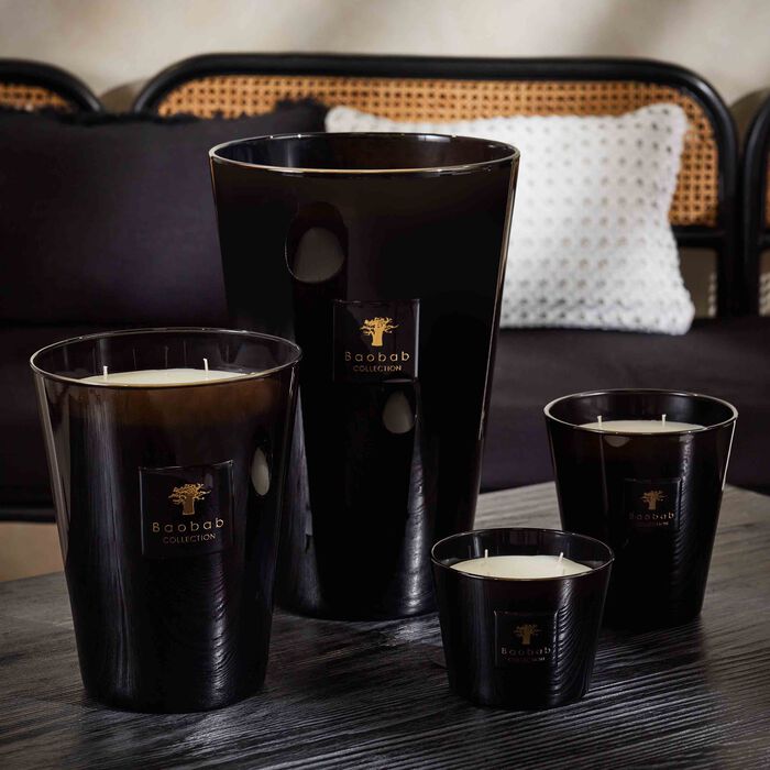 baobab collection encre de chine candle max 24