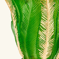 daum palm beach vase medium green