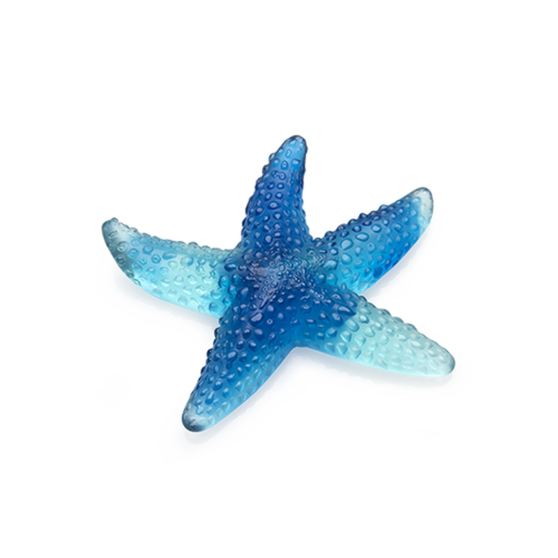 Blue Starfish Mer De Corail, large