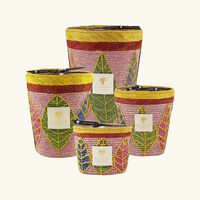 baobab collection ravintsara hanitra candle max 16