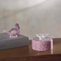 lalique fleurs de cerisier box pink