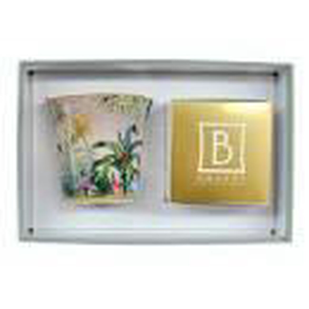 bernardaud tropiques candle tumbler set