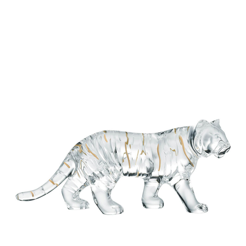 Zodiaque Clear Tiger 2022, large