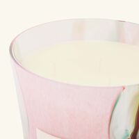 baobab collection oceania jukurrpa candle max 24
