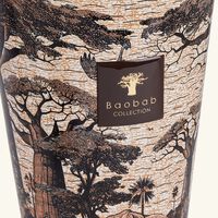 baobab collection sacred trees mankono candle max 35