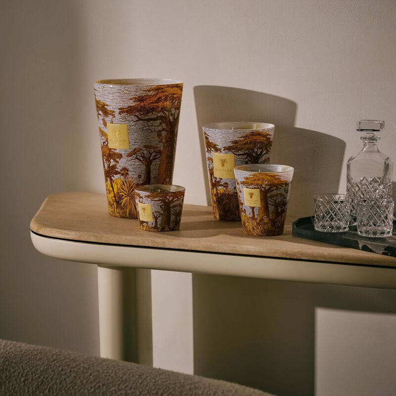 Sacred Trees Cocody Candle Max 10 baobab collection sacred trees cocody candle max 10