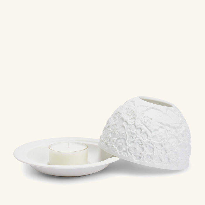 bernardaud wild flowers lithophanie