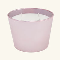 Roseum Candle Max 10 baobab collection roseum candle max 10