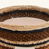 باوباب شمعة فيتي أنجارا ماكس 16