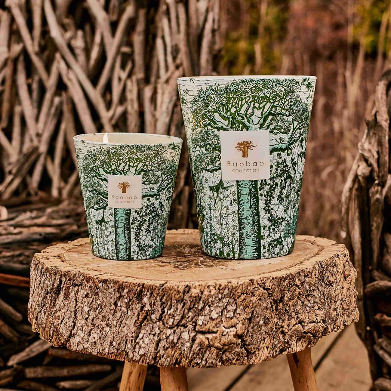 baobab collection sacred trees kamalo candle max 16