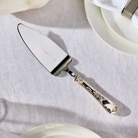 كريستوفل صينية مارلي لتقديم الكيك باللون الفضي