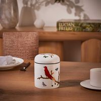 bernardaud aux oiseaux box white