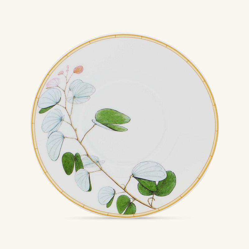 bernardaud jardin indien coffee cup   saucer green