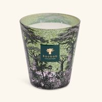 baobab collection sacred trees touba candle max 16