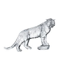 Roaring Bengal Roaring Bengal, small