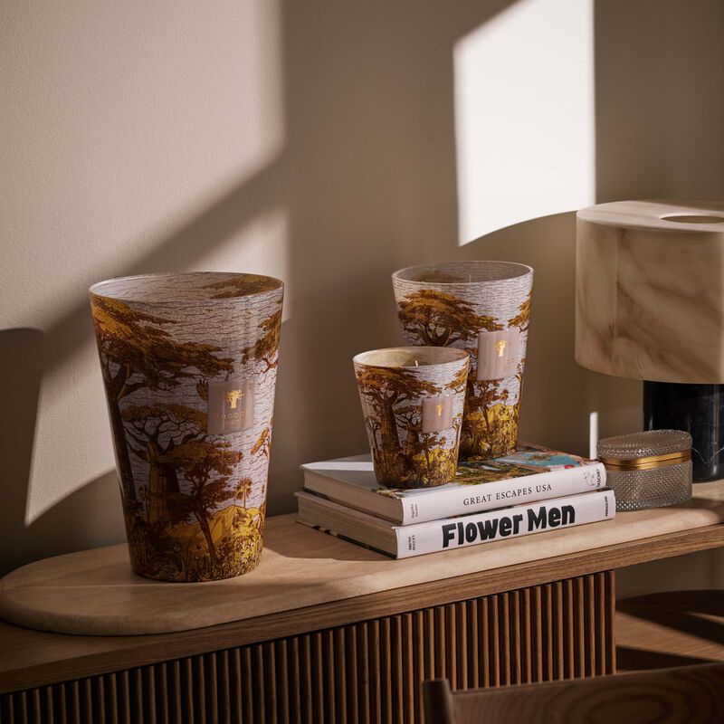 baobab collection sacred trees boukani candle max 24