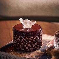 lalique fleurs de cerisier box burgundy