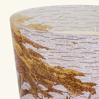 baobab collection sacred trees boukani candle max 35