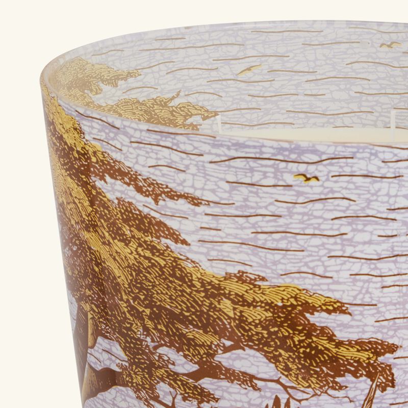 baobab collection sacred trees boukani candle max 35