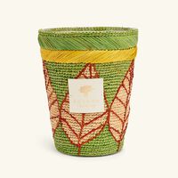 baobab collection ravintsara ravina candle max 24