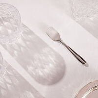 l ame de christofle ice cream spoon stainless steel