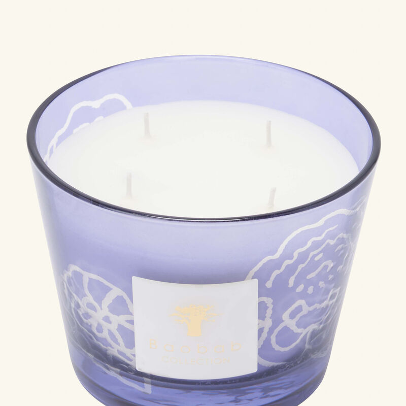 baobab collection collectible roses dark parma candle max 10
