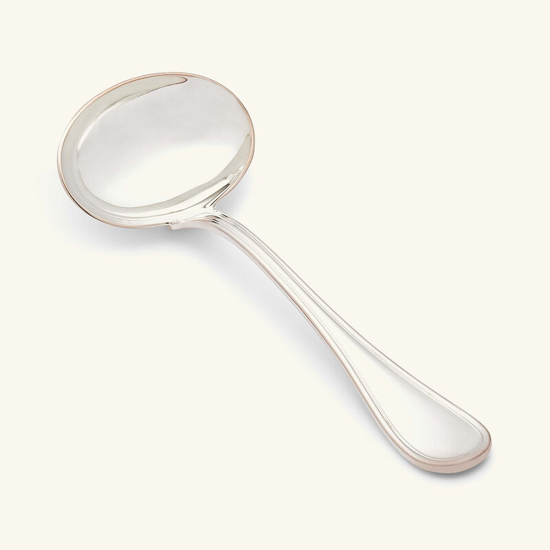 مغرفة الصلصات آلبي باللون الفضي large
