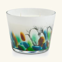 baobab collection rainforest amazonia candle max 10