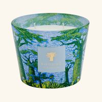 Sacred Trees Yarani Candle Max 10 baobab collection sacred trees yarani candle max 10