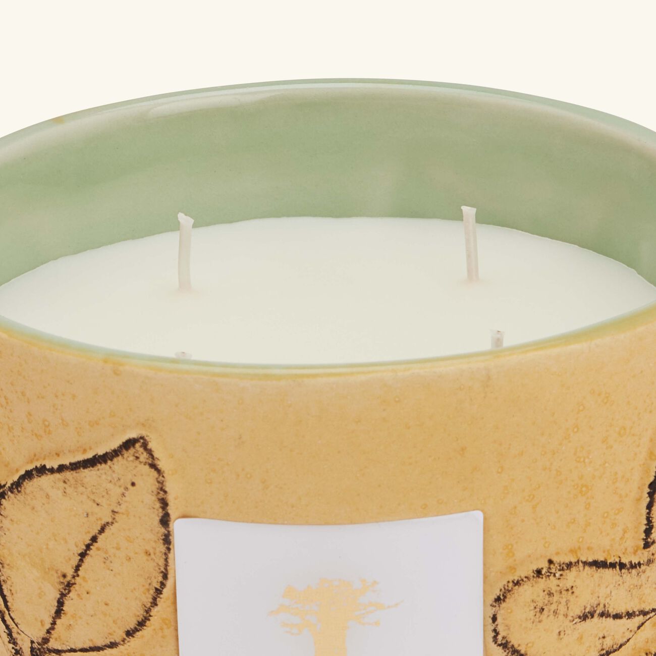 baobab collection folia garrigue candle max 10