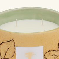 baobab collection folia garrigue candle max 10