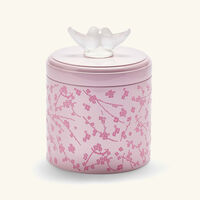 lalique fleurs de cerisier box pink