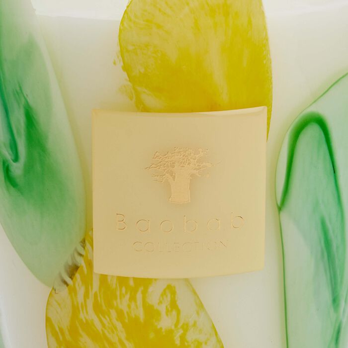 baobab collection riviera santo sospir candle max 24