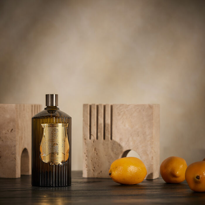 trudon ernesto room spray 375 ml