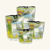 baobab collection cities singapore candle max 10