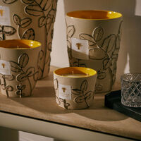 baobab collection folia calanque candle max 10