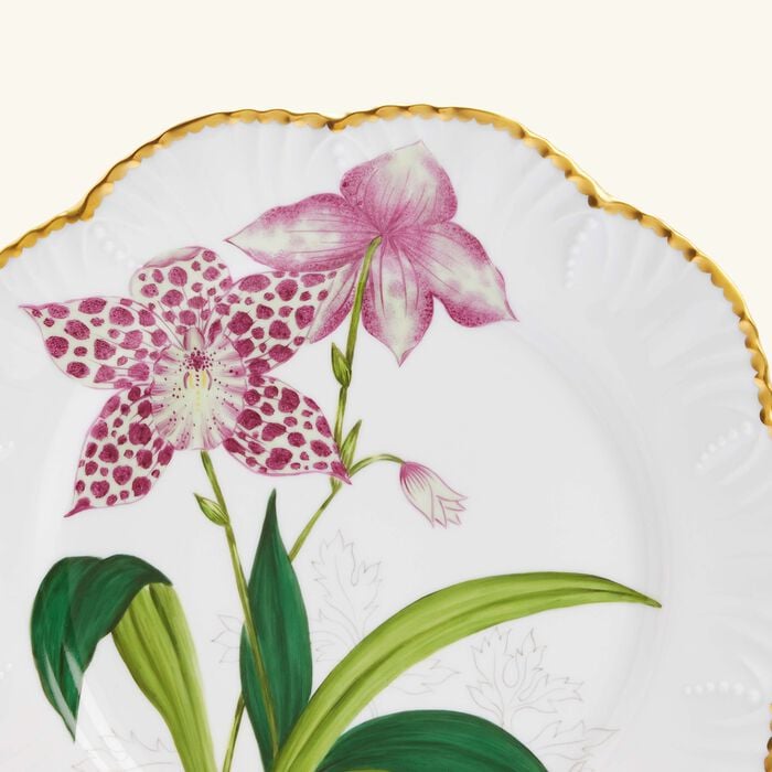 pinto paris histoires d orchidees dinner plate round 26cm