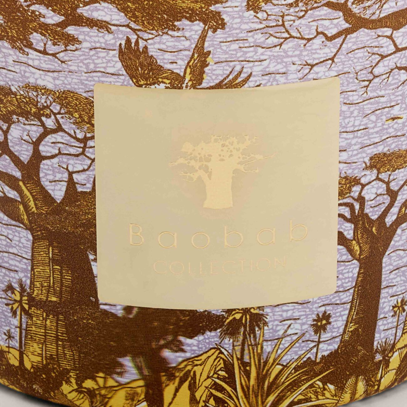 Sacred Trees Cocody Candle Max 10 baobab collection sacred trees cocody candle max 10