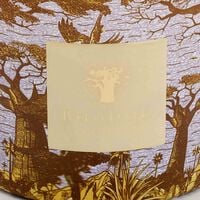 Sacred Trees Cocody Candle Max 10 baobab collection sacred trees cocody candle max 10