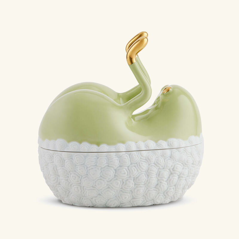 علبة هاس باتس آب خضراء لوبجيه علبة هاس باتس آب خضراء