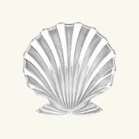 وعاء على شكل صدفة فينوس بحجم صغير بوتشيلاتي وعاء على شكل صدفة فينوس بحجم صغير