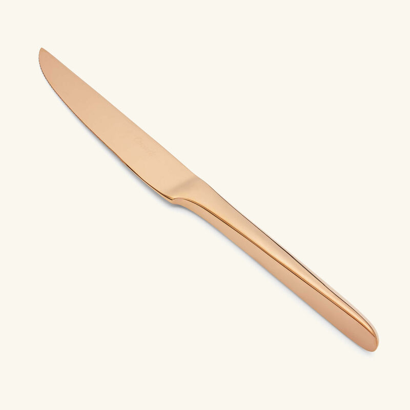 L' Ame De Christofle Steak Knife Pink l ame de christofle steak knife pink
