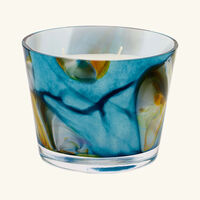 شمعة أوشيانيا تينغاري ماكس 10 باوباب شمعة أوشيانيا تينغاري ماكس 10