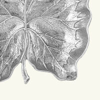 buccellati arum leaf bowl small