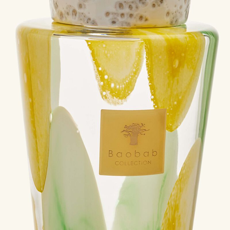 Riviera Santo Sospir Totem Diffuser 2L baobab collection riviera santo sospir totem diffuser 2l