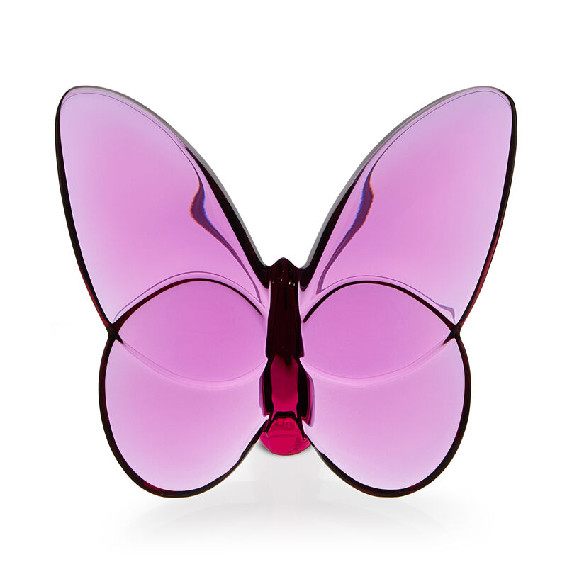 Lucky Butterfly, large